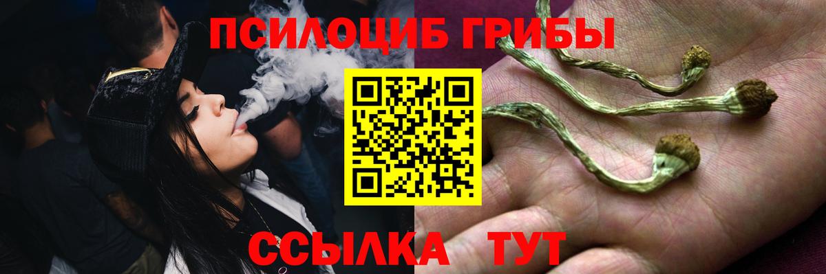 Гашиш Черняховск