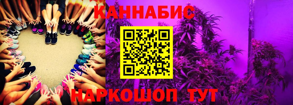 Каннабис план Черняховск